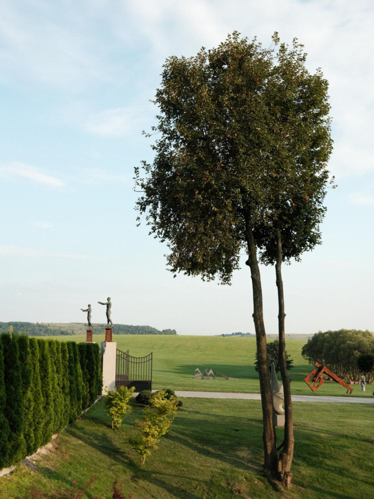Edem Resort Medical & Spa Strelki  Buitenkant foto